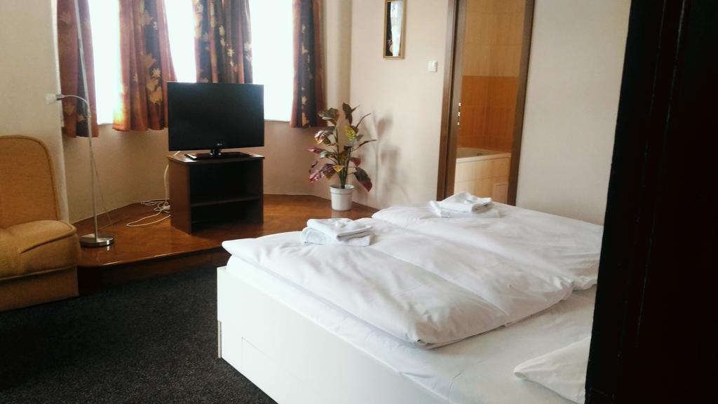 Hotel Penzion Marion à Decin Extérieur photo